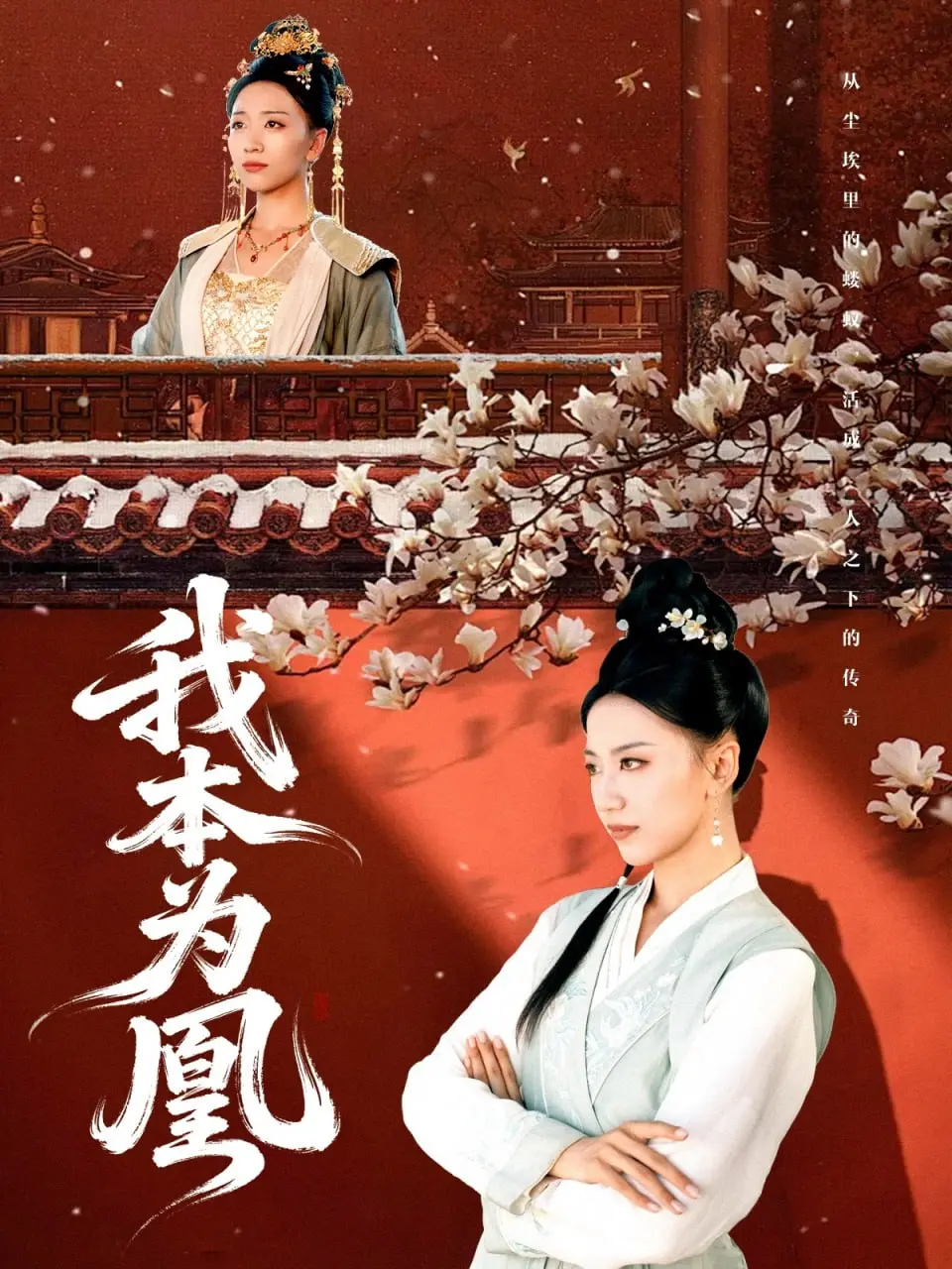 《我本为凰》：权谋与真情交织，看少女如何逆袭成凤，守护珍贵的友谊！