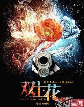 《双生花》：当一个人分裂成两个，镜子里的自己才是真面目？